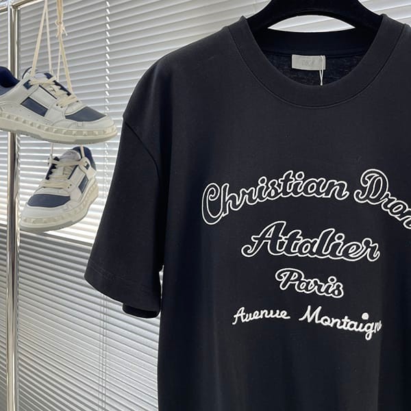 大人気!ディオール Tシャツ 偽物 コットンジャージー シルク 2色 dei02766